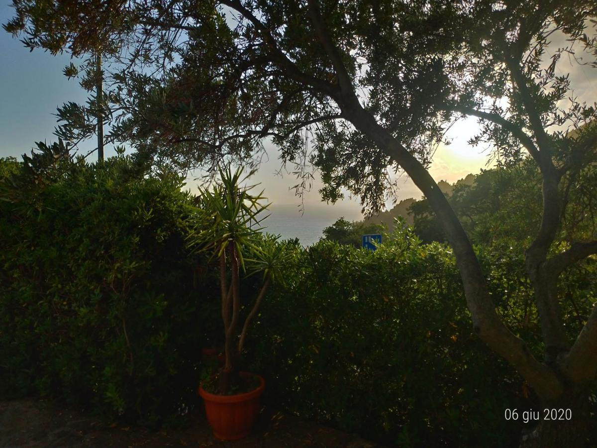 ماراتييا Bed & Breakfast Laino المظهر الخارجي الصورة